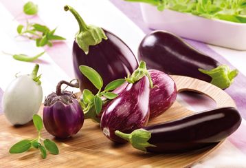 Aubergine