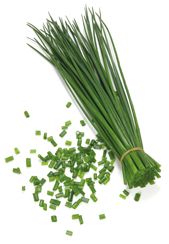 Cebollino