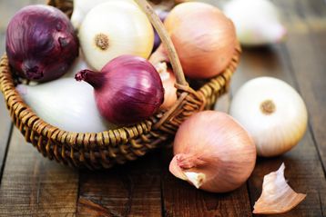 Oignon