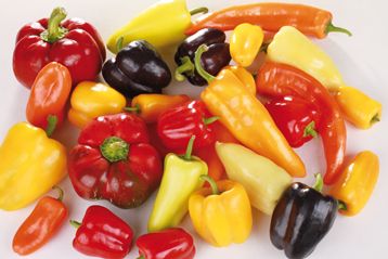 Poivron-piment