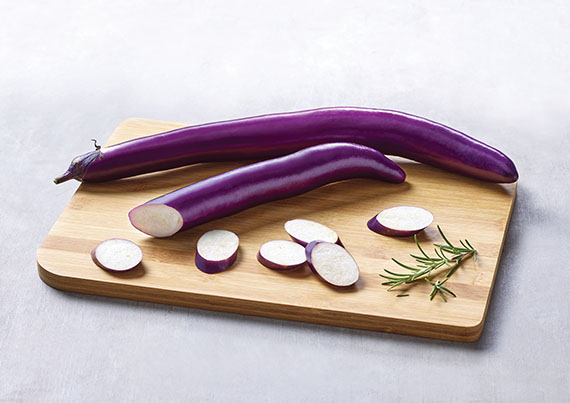 <span>GIOLETA F1</span>