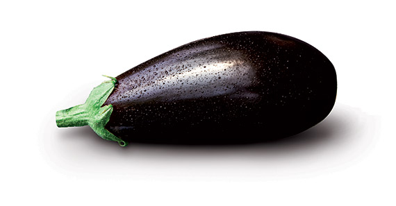 <span>AMALIA F1</span>