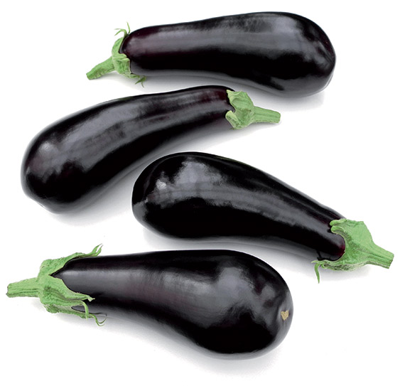 Aubergine ronde de Valence LA SEMEUSE | Bricomarché