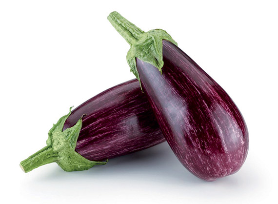 <span>NEREA F1</span>