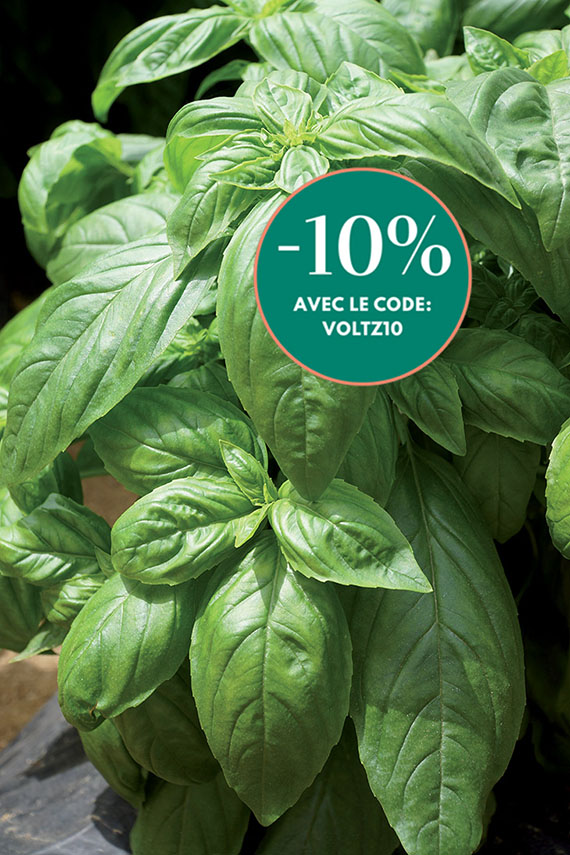 <span>FORTILARGERO® </span>