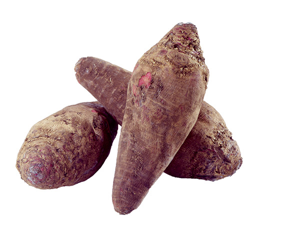 <span>CRAPAUDINE</span>