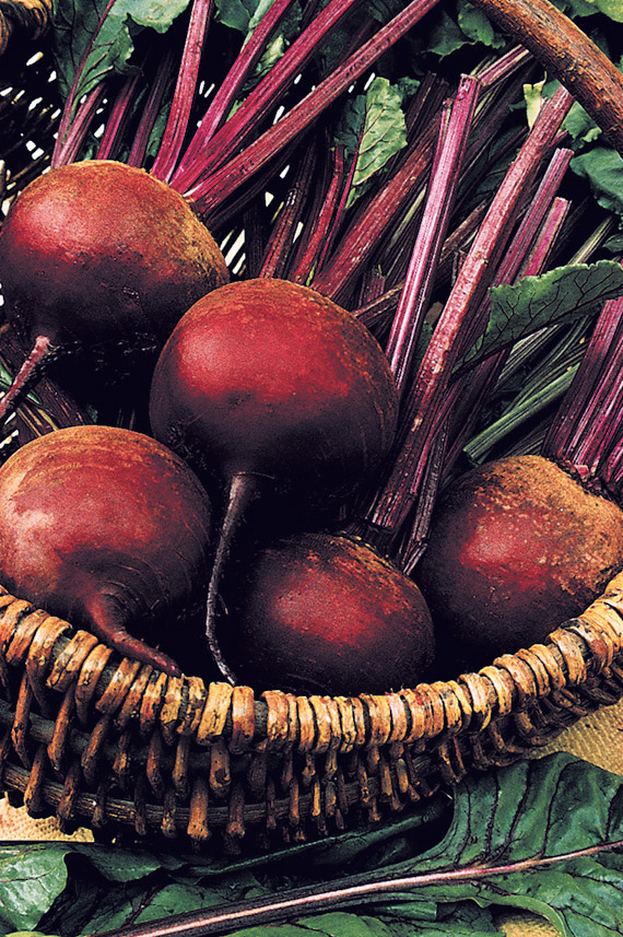 <span>DE DETROIT 2 BOLIVAR</span>