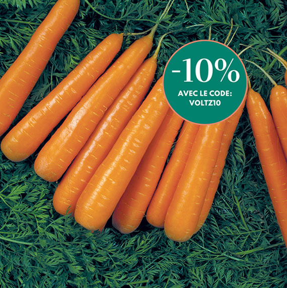 <span>LAGUNA F1</span>