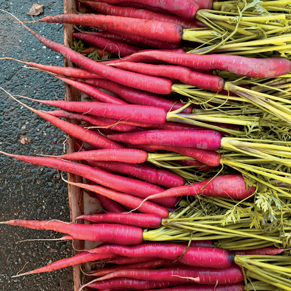 <span>MALBEC F1</span>