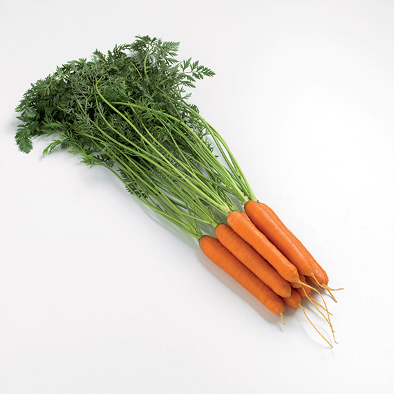 <span>ROMANCE F1</span>