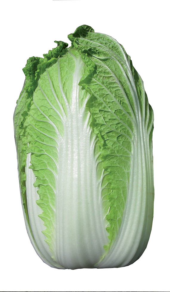 <span>KISEKI F1</span>