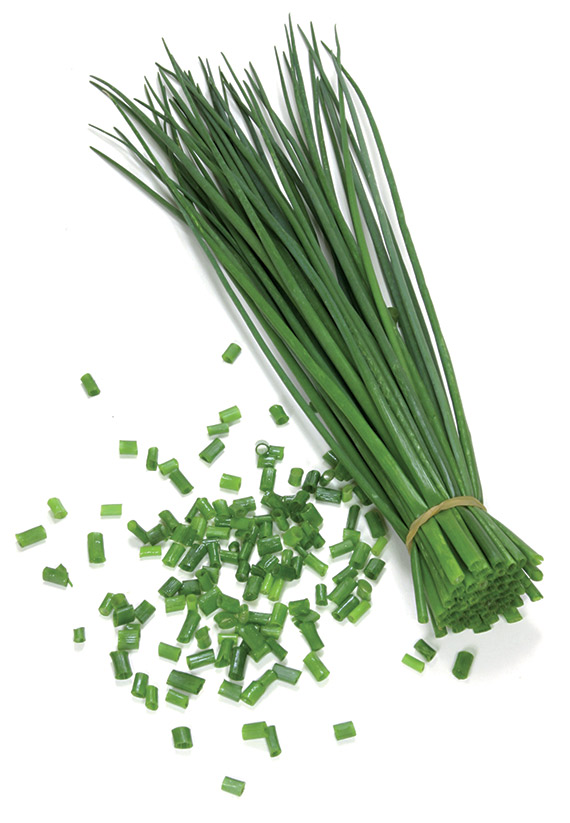 <span>POLYVIT</span>