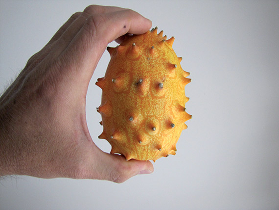 <span>KIWANO</span>