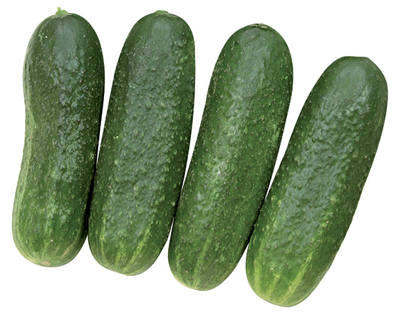 <span>DIAMANT F1</span>