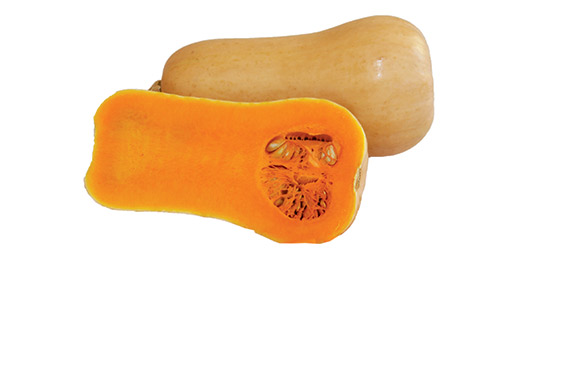 <span>PLUTO F1</span>