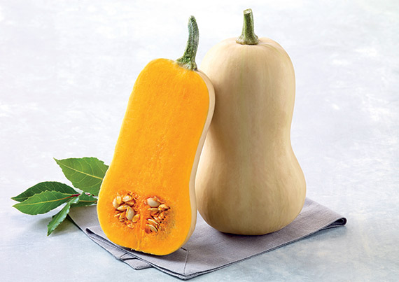 <span>TIVANO® F1</span>