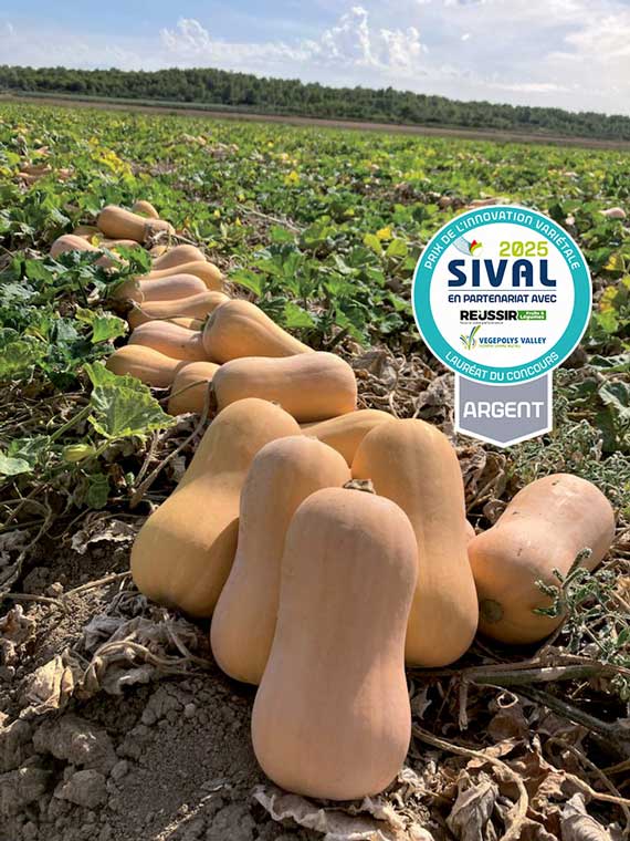 <span>ORIONIT F1</span>