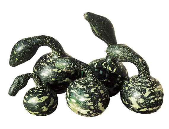 <span>POIRE A POUDRE (COBRA)</span>