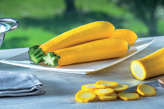 <span>LINGODOR F1</span>