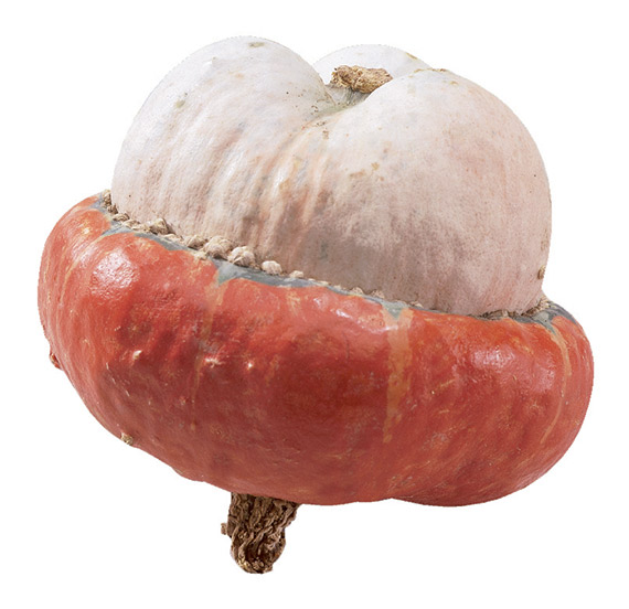 <span>MINI RED TURBAN</span>