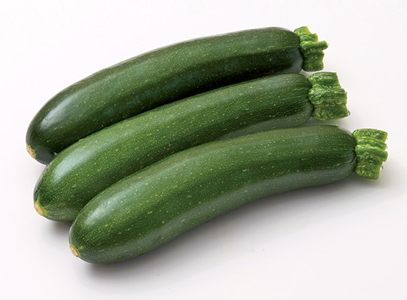 <span>NORIAC F1</span>