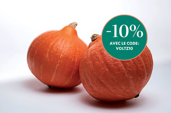 <span>COLINKY F1</span>