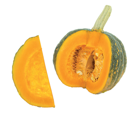 <span>SHIATSU F1</span>