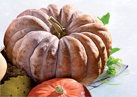 <span>VENTOUX F1</span>