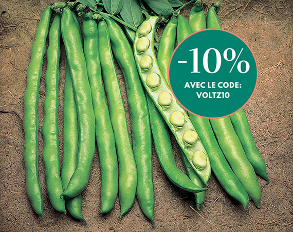 <span>AGUADULCE</span>