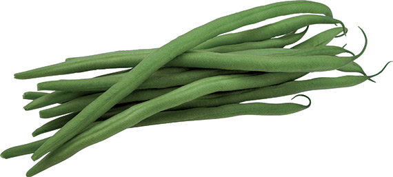 <span>CALIMA</span>