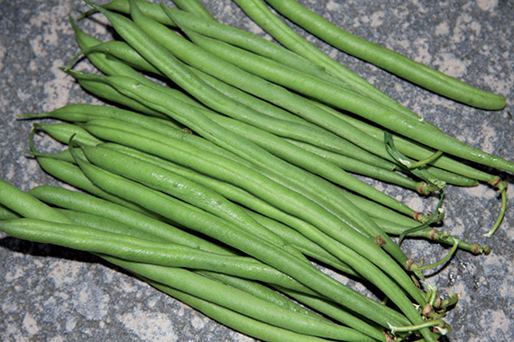 <span>FARADAY</span>