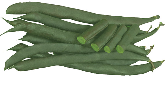 <span>NECKARKONIGIN</span>