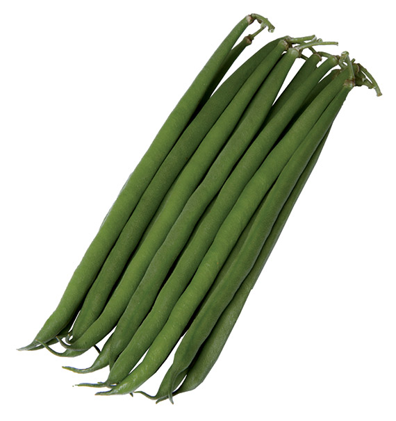 <span>ZANZIBAR</span>