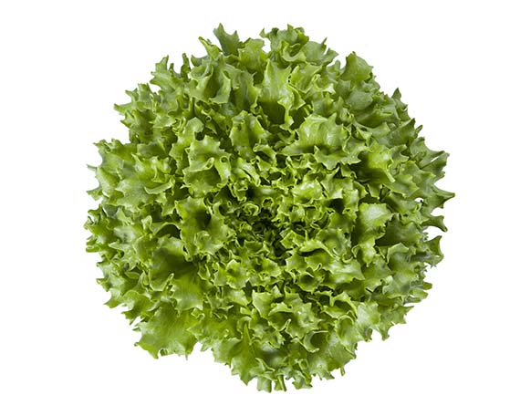 <span>CARAVEL</span>