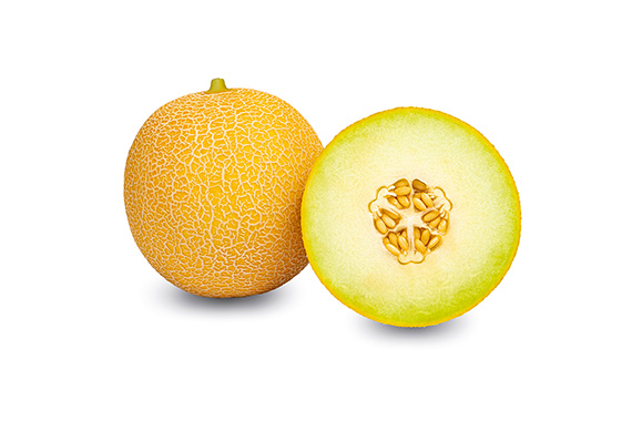 <span>BAZAN F1</span>