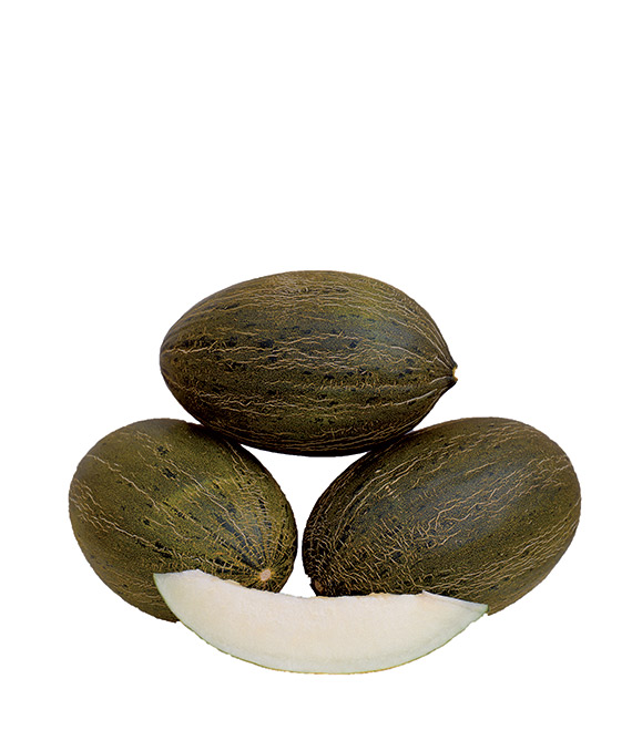 <span>DON QUIXOTE F1</span>