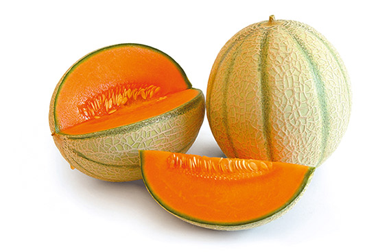 <span>MAGENTA F1</span>