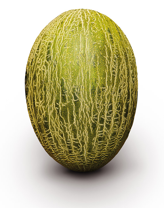 <span>MONTIEL F1</span>