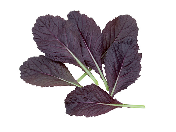 <span>BLOODY MARY</span>