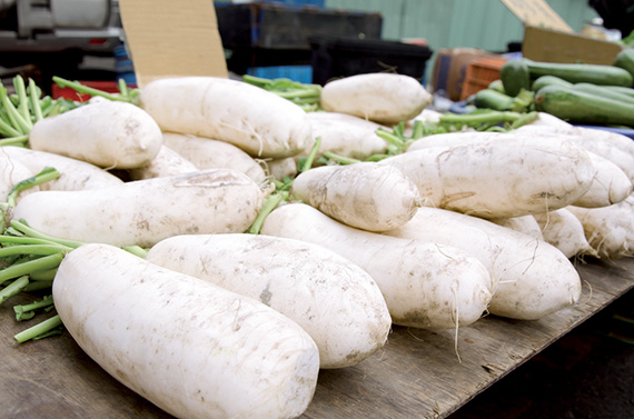 <span>DES VERTUS MARTEAU</span>