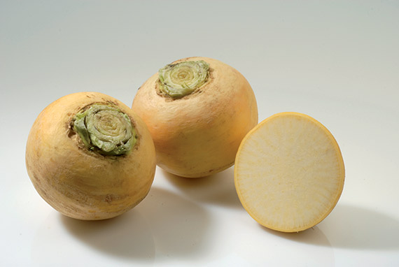 <span>BOULE D OR</span>