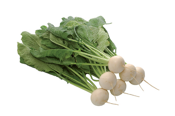 <span>TOKYO TOP F1</span>