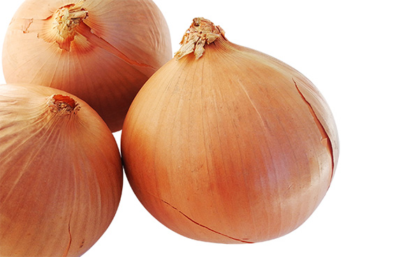 <span>EXHIBITION</span>