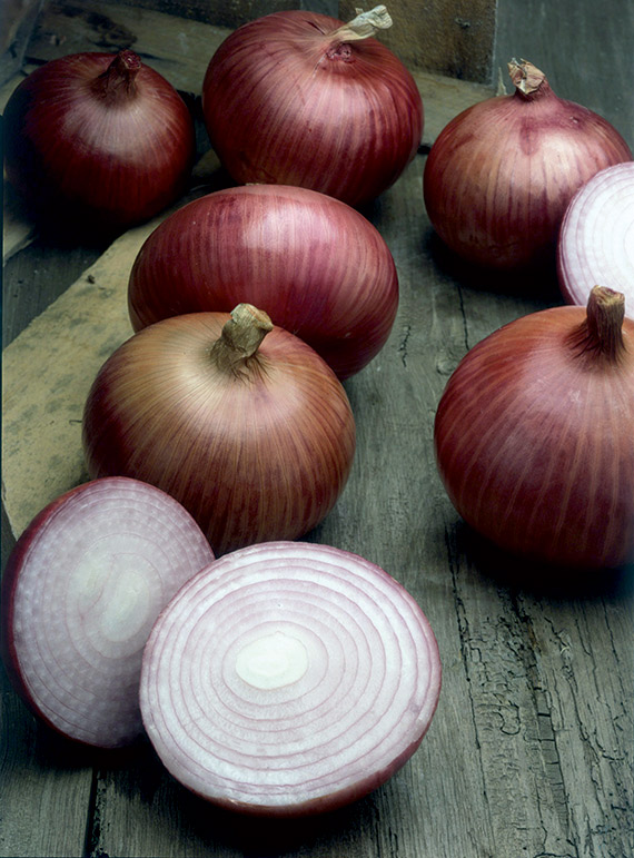 <span>BRONZE D'AMPOSTA</span>