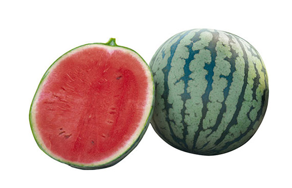 <span>HIROMI F1</span>