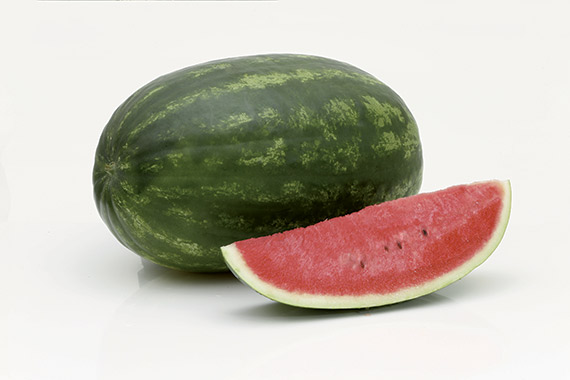 <span>ROMINA F1</span>