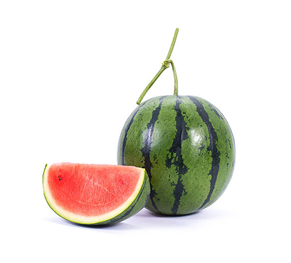 <span>TIGRINHO F1 </span>