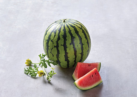 <span>MENINA F1</span>