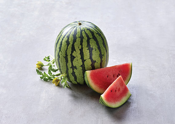 <span>PEPITA F1</span>