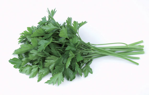 <span>LION (HI 15 312)</span>